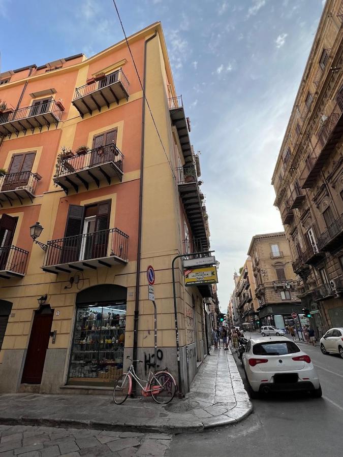 Pothos House Palermo